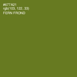 #677A21 - Fern Frond Color Image
